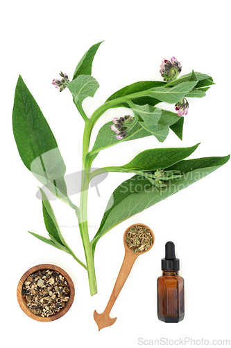 Image of Comfrey Herb Plant and Root with Essential Oil