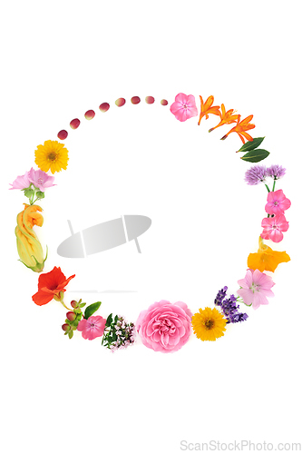 Image of Herbal Medicine Herb and Flower Abstract Wreath