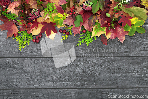 Image of Abstract Natural Background Border for Autumn Season