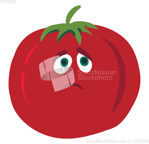 Image of Sad tomato, vector or color illustration.