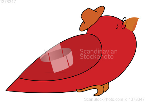 Image of Image of bird in hat, vector or color illustration.