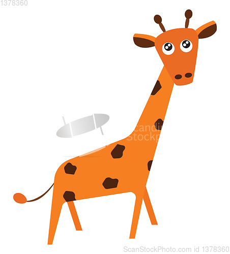 Image of Giraffe, vector or color illustration.