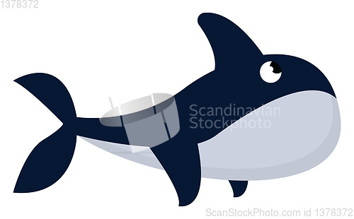 Image of Image of a big whale, vector or color illustration.