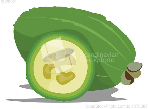 Image of sliced feijoa, vector or color illustration.