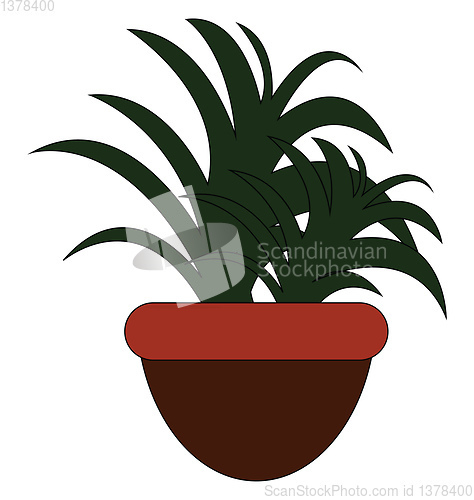 Image of Green flower, vector or color illustration.