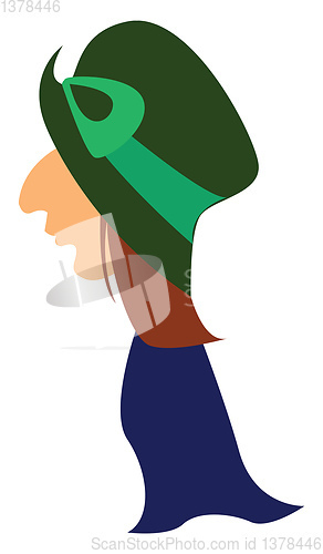 Image of A man with green hat and blue robe, vector or color illustration