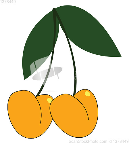 Image of Clipart of two hanging yellow cherries, vector or color illustra