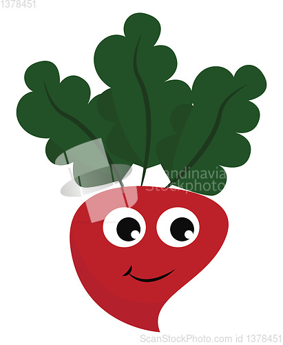 Image of Radish with face, vector or color illustration.