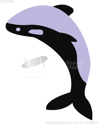 Image of Blue Whale, vector or color illustration.