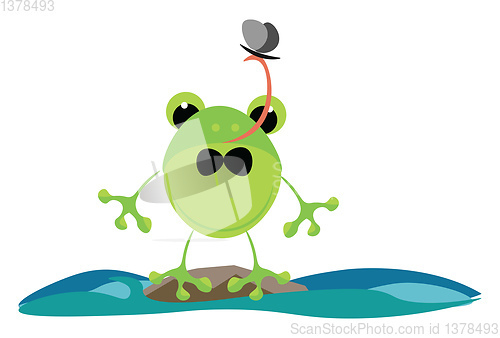 Image of Green frog, vector or color illustration.