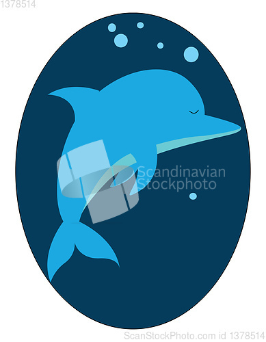 Image of Image of dolphin, vector or color illustration.