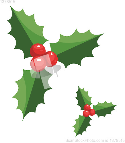 Image of Pair of christmas berries vector illustration on a white backgro
