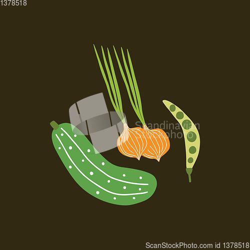 Image of A bunch of vegetables vector or color illustration