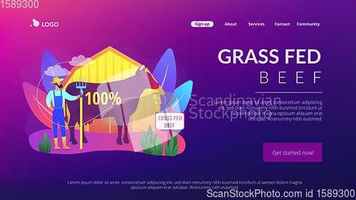 Image of Grass fed beef concept landing page.