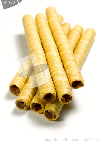 Image of wafer tubules