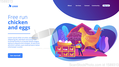 Image of Free run chicken and eggs concept landing page.