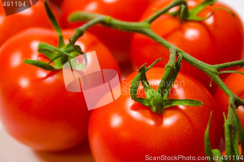 Image of fresh tomatoes