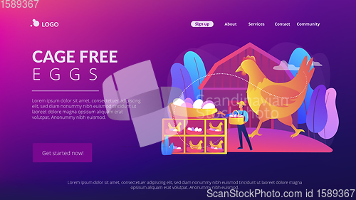 Image of Free run chicken and eggs concept landing page.