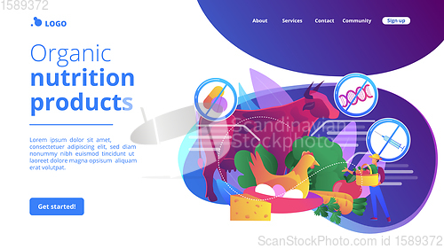 Image of Free from antibiotics hormones GMO foods concept landing page.