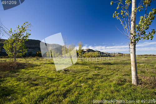 Image of Landscape