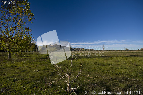 Image of Landscape