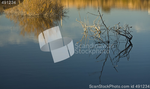 Image of Lake