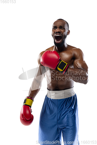 Image of Bright emotions of professional boxer isolated on white studio background, excitement in game