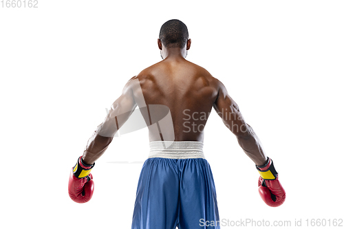 Image of Bright emotions of professional boxer isolated on white studio background, excitement in game