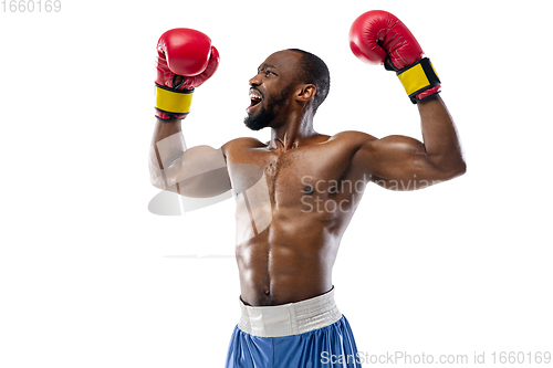 Image of Bright emotions of professional boxer isolated on white studio background, excitement in game