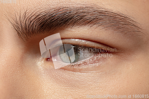 Image of Close up face of young man isolated on white studio background. Caucasian attractive male model. Concept of fashion and beauty, self-care, body and skin care.