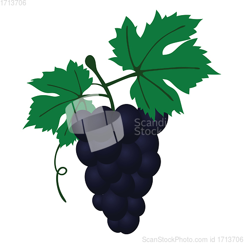 Image of Flat design icon of Grape in ui colors. 