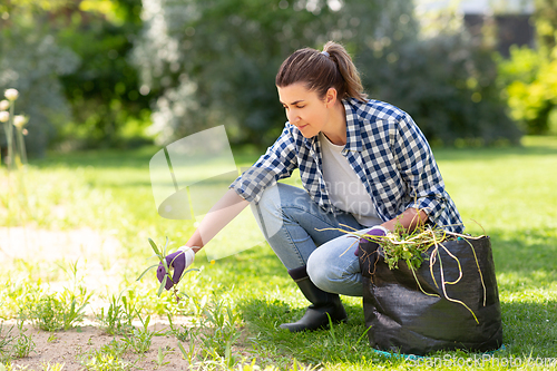 Image of woman weeding flowerbed at summer garden