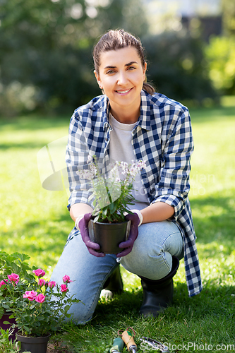 Image of woman planting rose flowers at summer garden