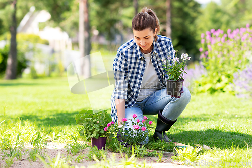 Image of woman planting rose flowers at summer garden