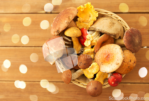 Image of basket of different edible mushrooms on wood