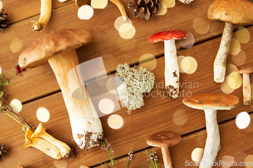 Image of different edible mushrooms on wooden background