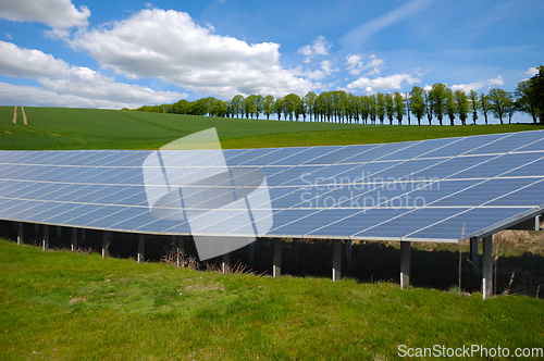 Image of Rows of solar panels and green nature