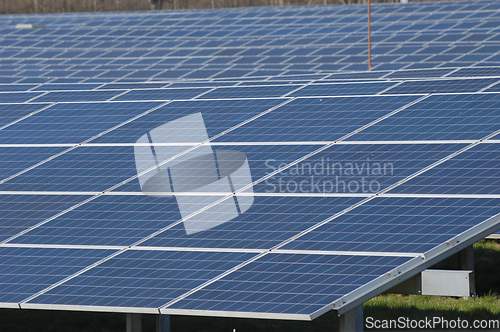 Image of Rows of solar panels