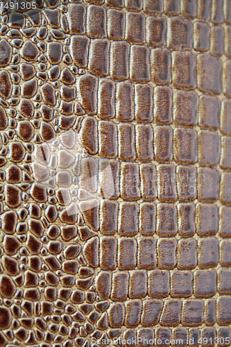 Image of Crocodile texture