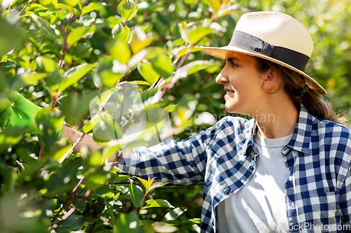 Image of woman in hat working at summer garden