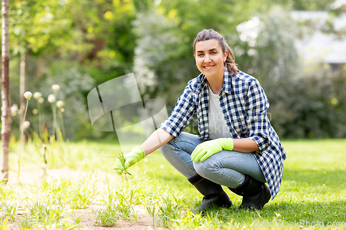 Image of woman weeding flowerbed at summer garden