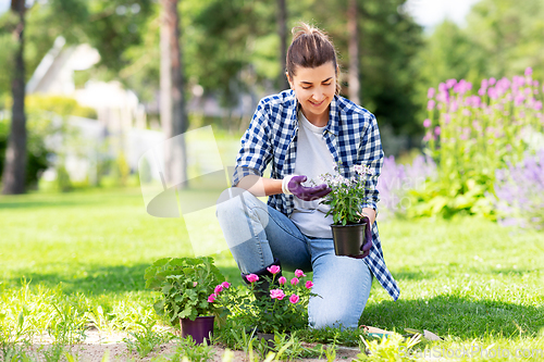 Image of woman planting rose flowers at summer garden