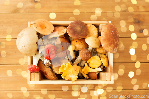 Image of wooden box of different edible mushrooms