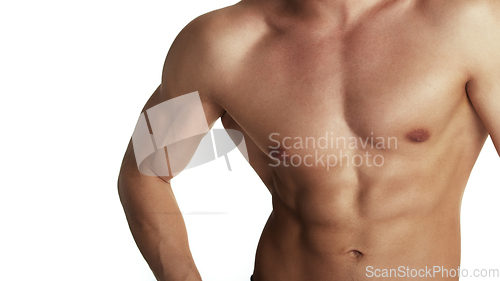Image of Muscular torso of bodybuilder