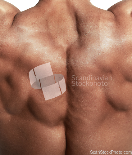 Image of Muscular torso of bodybuilder