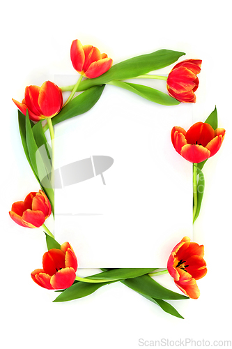 Image of Red and Yellow Tulip Flower Minimal Abstract Background Border