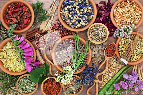 Image of Herbal Plant Medicine for Natural Healing Medication 