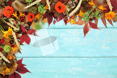 Image of Natural Autumn Background on Rustic Wood 