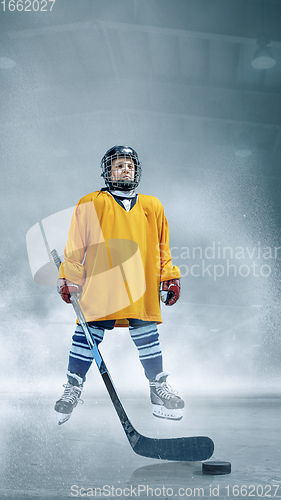 Image of Little hockey player with the stick on ice court in smoke. Sportsboy wearing equipment and helmet training in action.