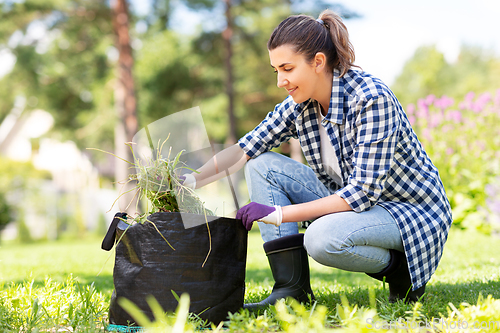 Image of woman weeding flowerbed at summer garden